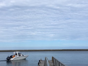 20190908-170858.jpeg