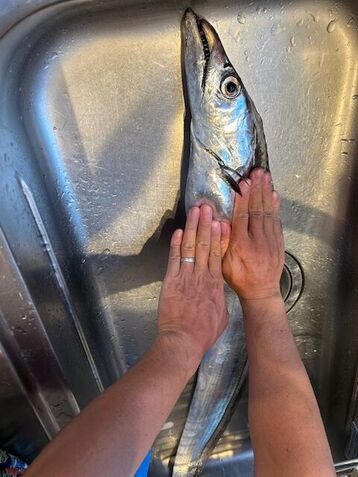 image1 (8).jpeg