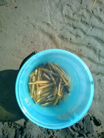 201309203.jpg