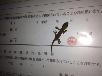 20130925.jpg