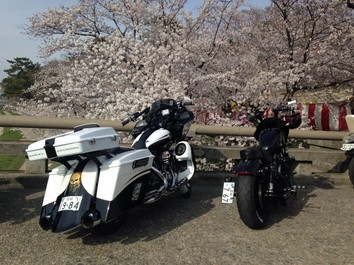 20140331-222933.jpg