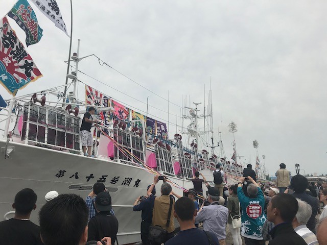 20180606-150800.jpg
