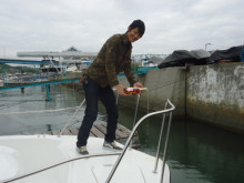 20150429-124527.jpg