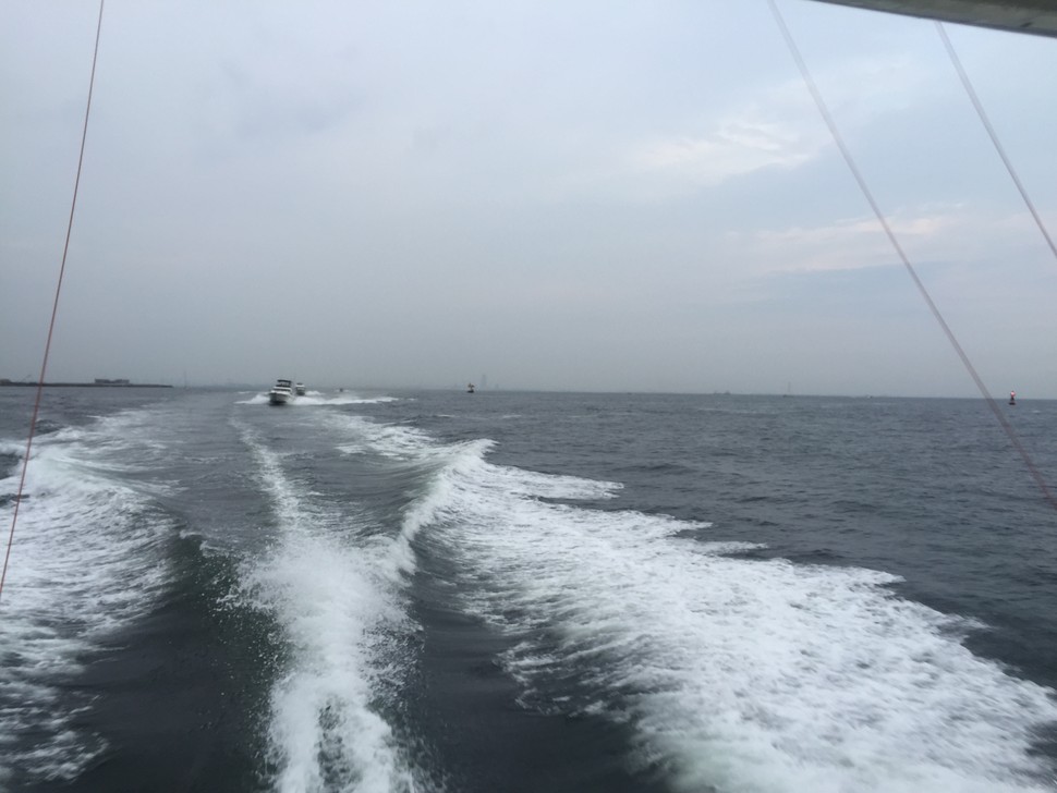 20160811-104441.jpg